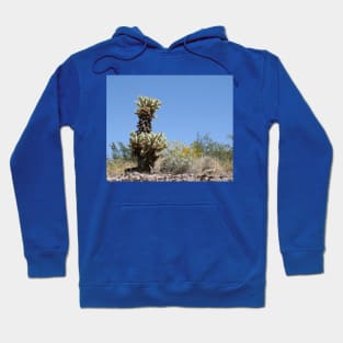 Cactus and Yellow Flowers in the rocky Desert Hoodie